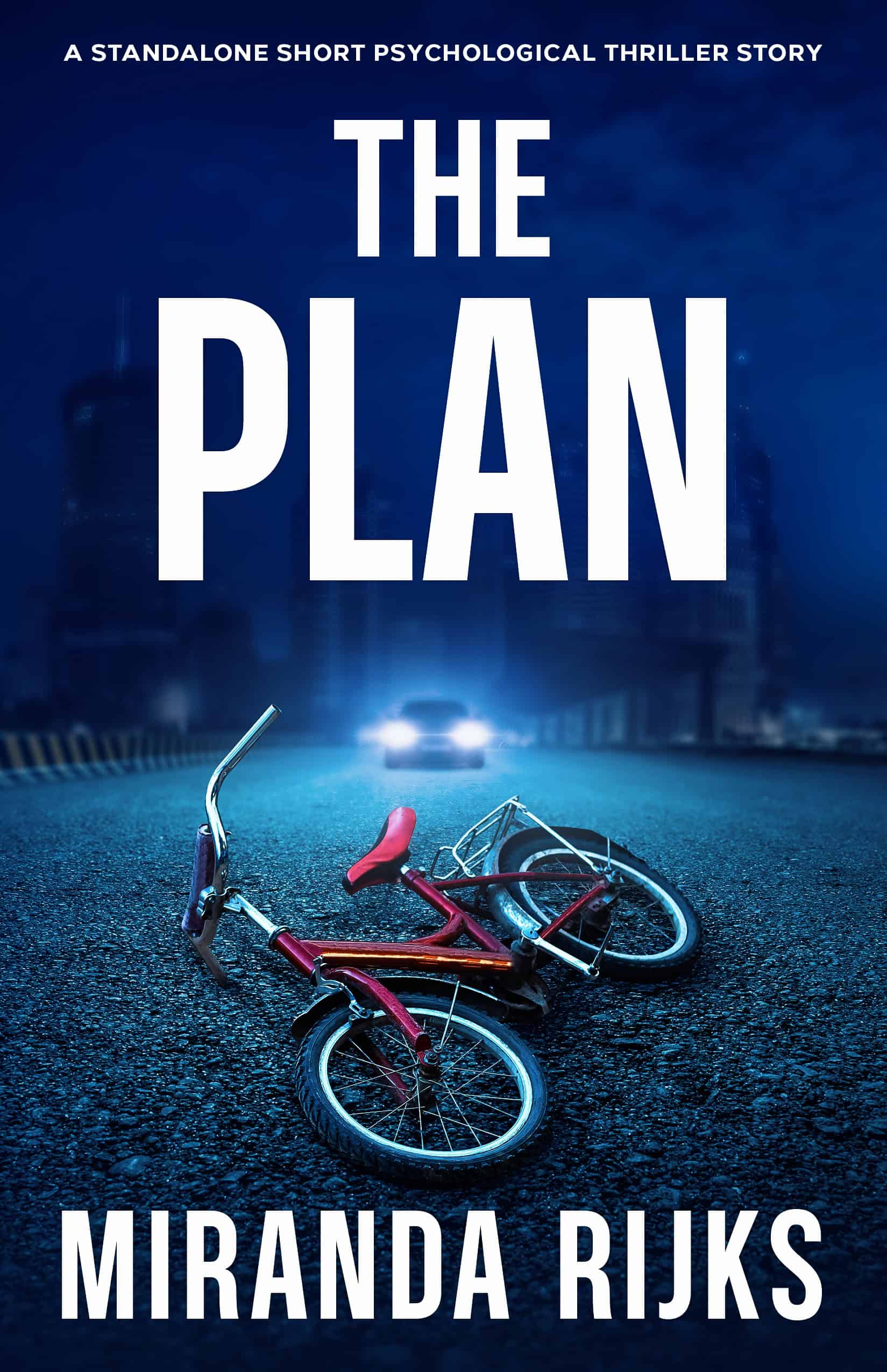The Plan by Miranda Rijks The Plan